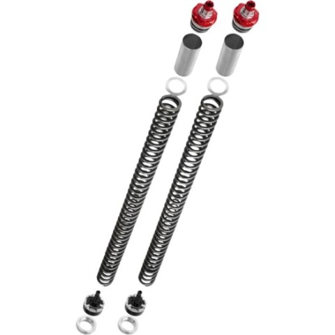 Kit mejora de horquilla YSS kaw ninja 250/300